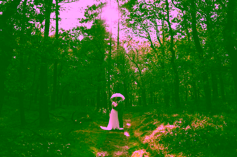 wander-and-dream-photography